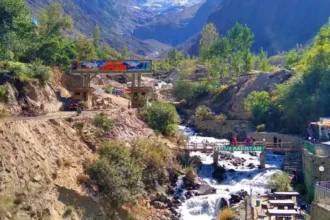Pakistan Ecosystem