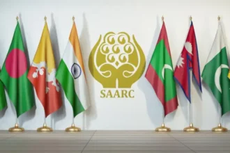 saarc peace stability pakistan india